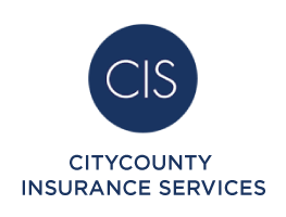 Citycounty Insurance Services